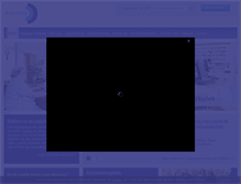 Tablet Screenshot of alerimus.nl